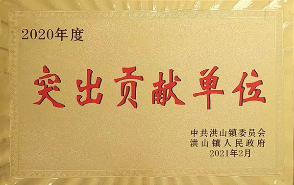 2020年度突出貢獻單位(2021.2).jpg 2020年度突出貢獻單位(2021.2).jpg